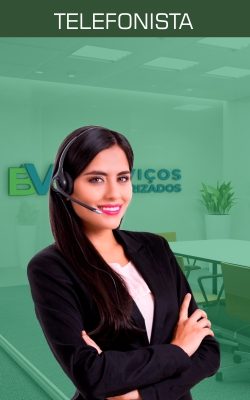 BVF Serviços Terceirizados